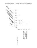 POLYNUCLEOTIDES AND POLYPEPTIDE SEQUENCES INVOLVED IN CANCER diagram and image