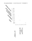 POLYNUCLEOTIDES AND POLYPEPTIDE SEQUENCES INVOLVED IN CANCER diagram and image