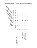 POLYNUCLEOTIDES AND POLYPEPTIDE SEQUENCES INVOLVED IN CANCER diagram and image