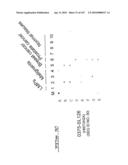 POLYNUCLEOTIDES AND POLYPEPTIDE SEQUENCES INVOLVED IN CANCER diagram and image