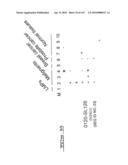 POLYNUCLEOTIDES AND POLYPEPTIDE SEQUENCES INVOLVED IN CANCER diagram and image