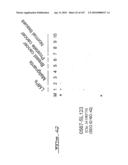 POLYNUCLEOTIDES AND POLYPEPTIDE SEQUENCES INVOLVED IN CANCER diagram and image