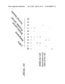 POLYNUCLEOTIDES AND POLYPEPTIDE SEQUENCES INVOLVED IN CANCER diagram and image