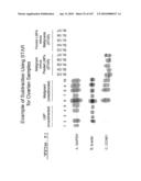 POLYNUCLEOTIDES AND POLYPEPTIDE SEQUENCES INVOLVED IN CANCER diagram and image