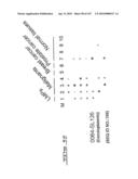 POLYNUCLEOTIDES AND POLYPEPTIDE SEQUENCES INVOLVED IN CANCER diagram and image