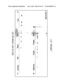 POLYNUCLEOTIDES AND POLYPEPTIDE SEQUENCES INVOLVED IN CANCER diagram and image