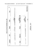 POLYNUCLEOTIDES AND POLYPEPTIDE SEQUENCES INVOLVED IN CANCER diagram and image