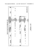 POLYNUCLEOTIDES AND POLYPEPTIDE SEQUENCES INVOLVED IN CANCER diagram and image