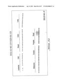 POLYNUCLEOTIDES AND POLYPEPTIDE SEQUENCES INVOLVED IN CANCER diagram and image