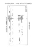 POLYNUCLEOTIDES AND POLYPEPTIDE SEQUENCES INVOLVED IN CANCER diagram and image