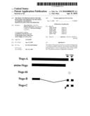 Method and preparations for the diagnosis and therapy of multiple sclerosis and immune demyelinating polyneuropathy diagram and image