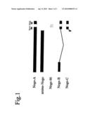 Method and preparations for the diagnosis and therapy of multiple sclerosis and immune demyelinating polyneuropathy diagram and image