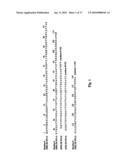 Prevention and Treatment of Synucleinopathic and Amyloidogenic Disease diagram and image