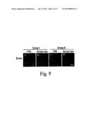 Prevention and Treatment of Synucleinopathic and Amyloidogenic Disease diagram and image