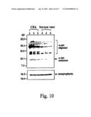 Prevention and Treatment of Synucleinopathic and Amyloidogenic Disease diagram and image