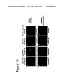 Prevention and Treatment of Synucleinopathic and Amyloidogenic Disease diagram and image