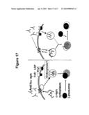 Prevention and Treatment of Synucleinopathic and Amyloidogenic Disease diagram and image