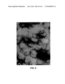 COMPOSITION AND METHOD FOR PREPARING STABLE UNILAMELLAR LIPOSOMAL SUSPENSION diagram and image