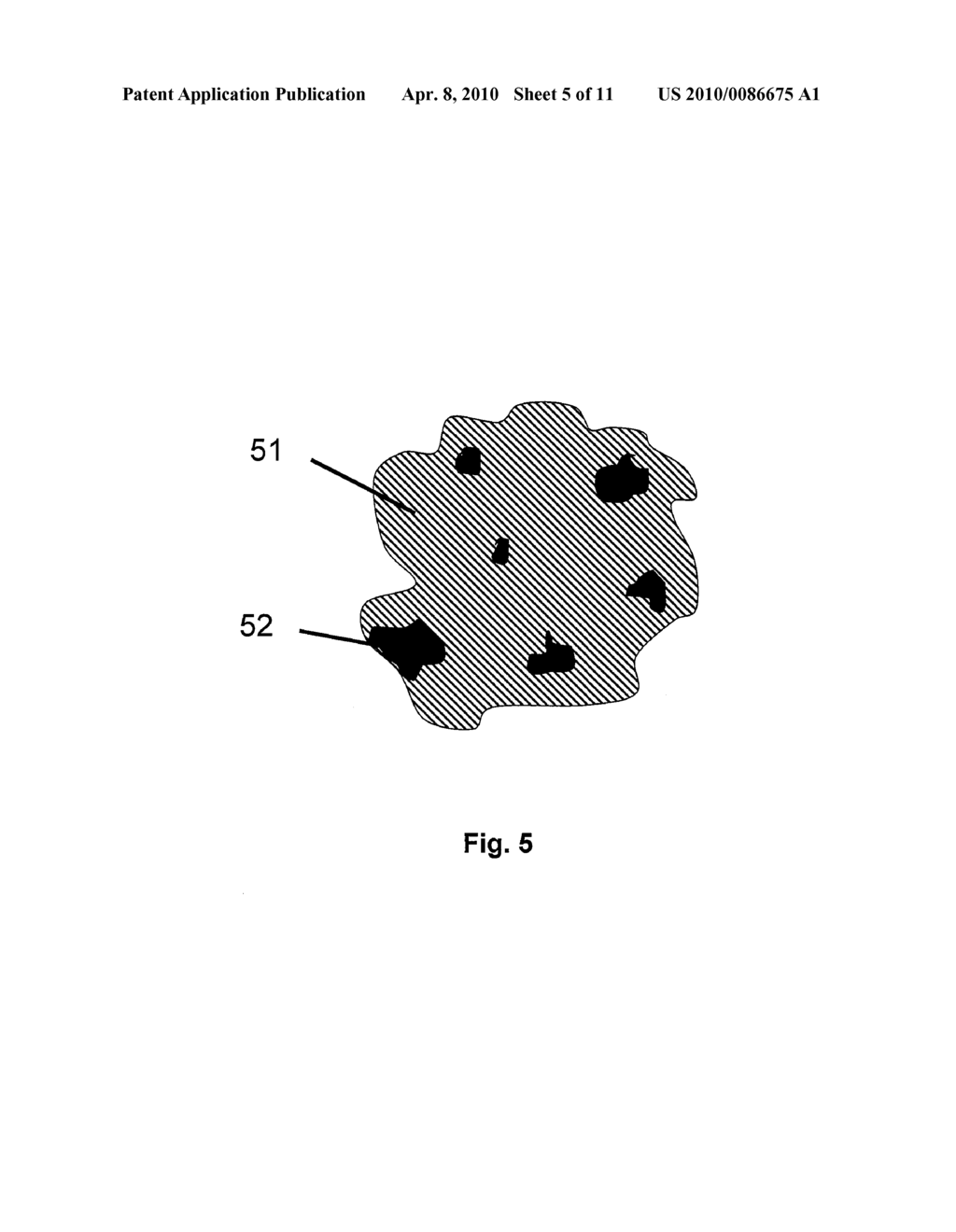 Solid Polymer Electrolyte and Process for Making Same - diagram, schematic, and image 06