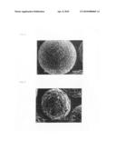 CARRIER CORE MATERIAL FOR ELECTROPHOTOGRAPHIC DEVELOPER AND METHOD FOR PRODUCING THE SAME, CARRIER FOR ELECTROPHOTOGRAPHIC DEVELOPER, AND ELECTROPHOTOGRAPHIC DEVELOPER diagram and image