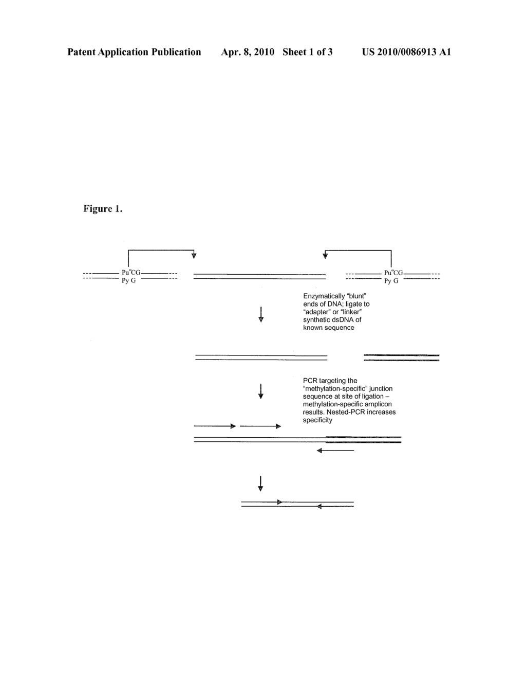 Methods of Identification Using Methylation of CPG - diagram, schematic, and image 02