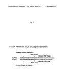 HIGH RESOLUTION, HIGH THROUGHPUT HLA GENOTYPING BY CLONAL SEQUENCING diagram and image