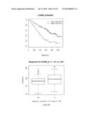 Assessment of chromosomal alterations to predict clinical outcome of bortezomib treatment diagram and image