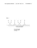 DEPOSITION OF METAL OXIDES ONTO SURFACES AS AN IMMOBILIZATION VEHICLE FOR CARBOXYLATED OR PHOPHATED PARTICLES OR POLYMERS diagram and image