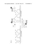 DEPOSITION OF METAL OXIDES ONTO SURFACES AS AN IMMOBILIZATION VEHICLE FOR CARBOXYLATED OR PHOPHATED PARTICLES OR POLYMERS diagram and image