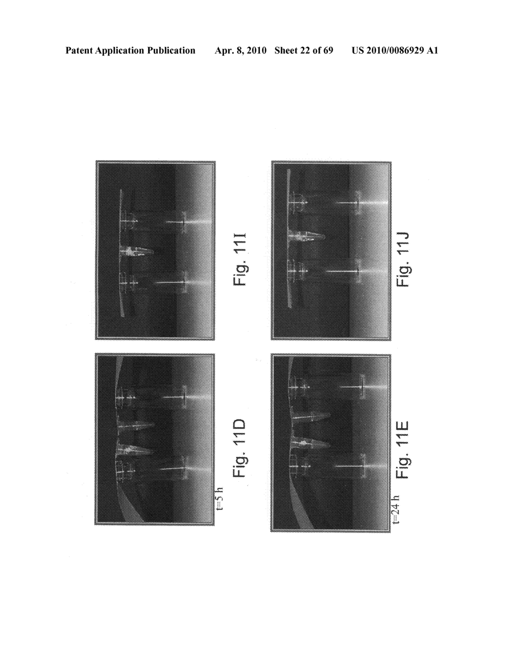 DETECTION OF ANALYTES - diagram, schematic, and image 23