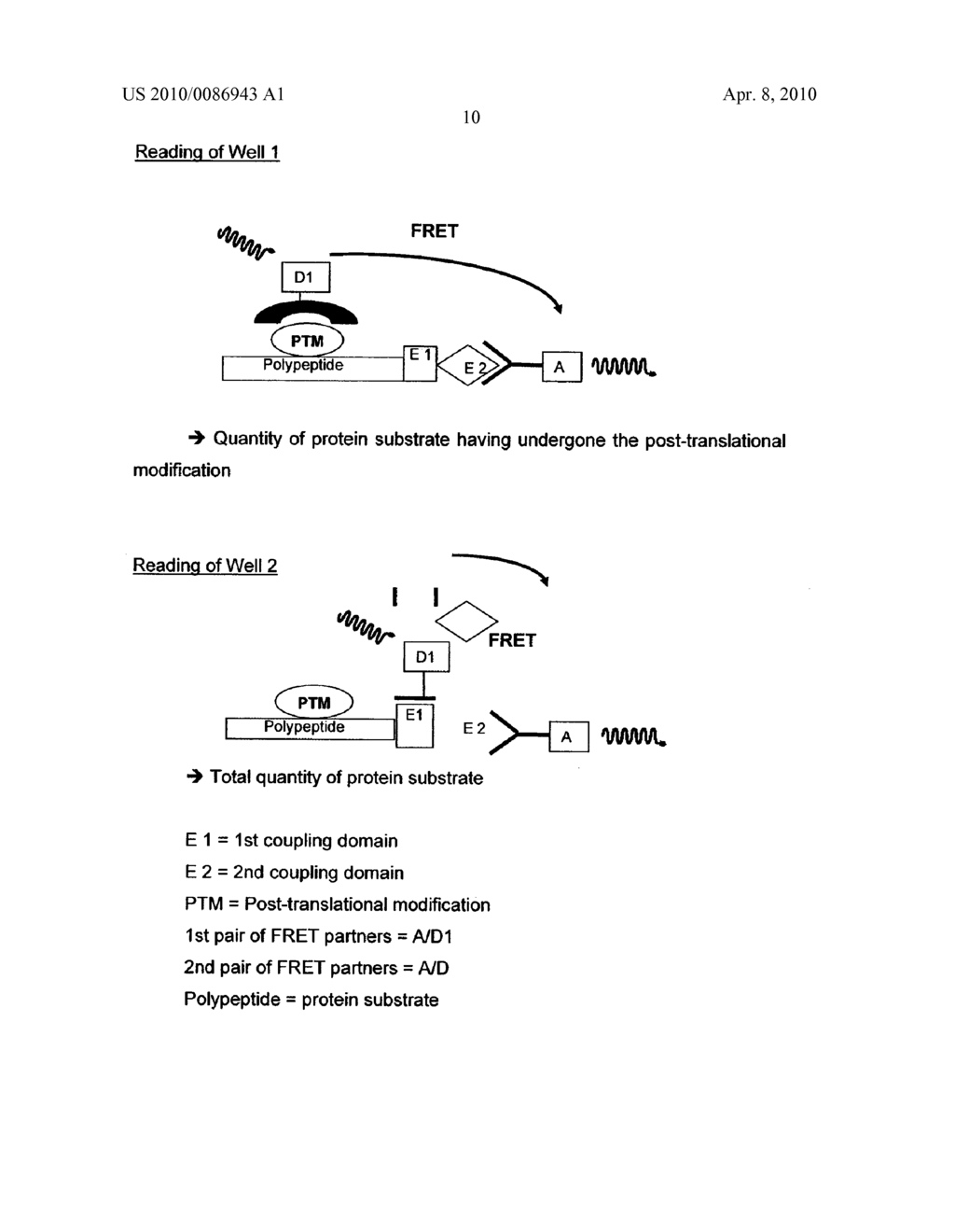METHOD FOR THE DETECTION OF POST-TRANSLATIONAL MODIFICATIONS - diagram, schematic, and image 20
