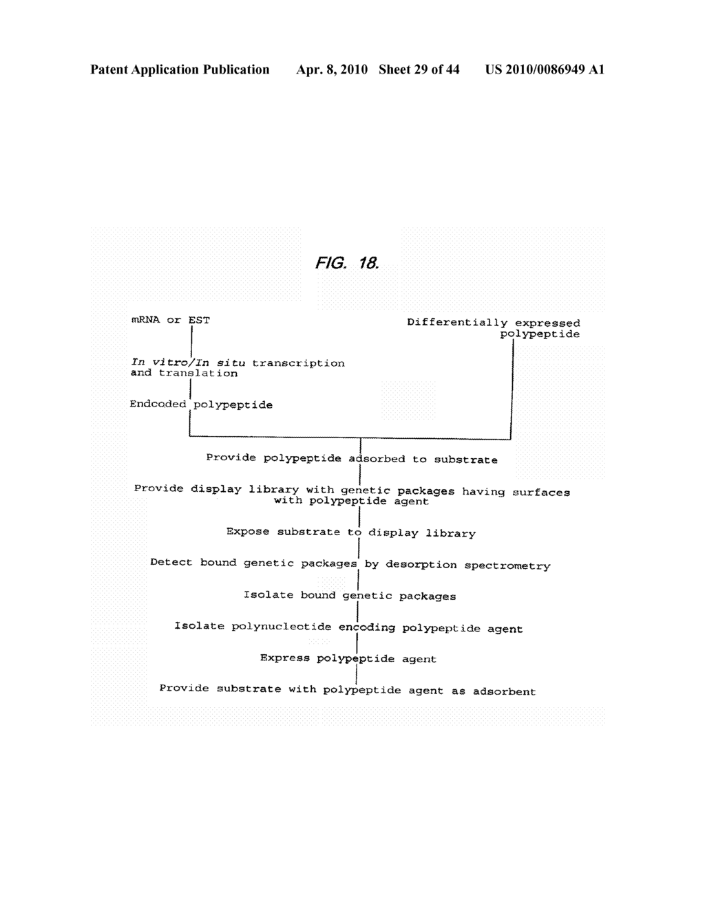 RETENTATE CHROMATOGRAPHY AND PROTEIN CHIP ARRAYS WITH APPLICATIONS IN BIOLOGY AND MEDICINE - diagram, schematic, and image 30