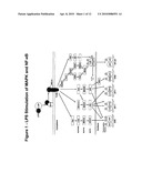 Pan-Kinase Activation and Evaluation of Signaling Pathways diagram and image