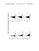 Pan-Kinase Activation and Evaluation of Signaling Pathways diagram and image