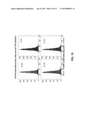 Pan-Kinase Activation and Evaluation of Signaling Pathways diagram and image