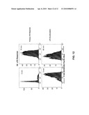 Pan-Kinase Activation and Evaluation of Signaling Pathways diagram and image