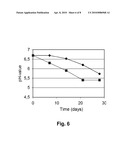 LACTIC ACID BACTERIA STRAIN AND ITS USE FOR THE PROTECTION OF FOOD PRODUCTS diagram and image