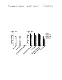 PEPTIDE-PRESENTING SURFACES FOR LONG-TERM CULTURE OF PLURIPOTENT CELLS diagram and image