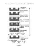 Process For Creating Shape-Designed Particles In A Fluid diagram and image