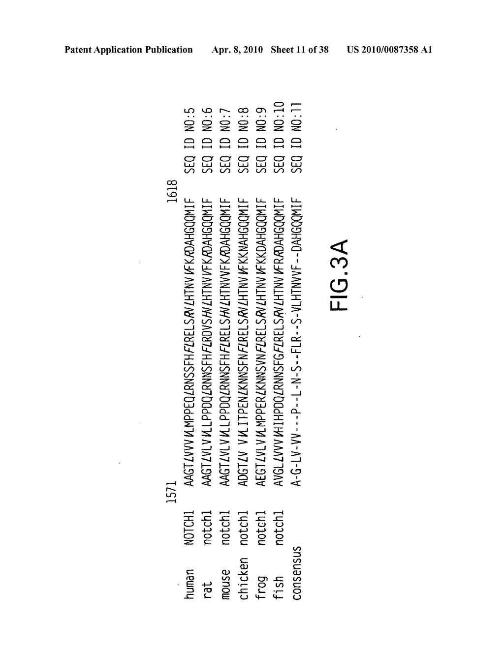 NOTCH mutations leading to increased receptor signaling - diagram, schematic, and image 12