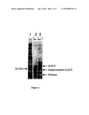 GLYCAN MODIFIED SOLUBLE RECEPTORS AND BINDING PROTEIN AND THEIR USE diagram and image