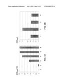 Compositions and Methods for Treating Diseases Associate with Angiogenesis and Inflammation diagram and image