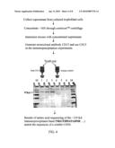 Compositions and Methods for Treating Diseases Associate with Angiogenesis and Inflammation diagram and image