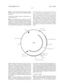 POLYPEPTIDES OF BOTRYOSPHAERIA RHODINA diagram and image