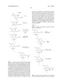 Substituted N-Arylsulfonylheterocyclic Amines As Gamma-Secretase Inhibitors diagram and image