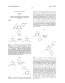 PYRIDOPYRIMIDINONE INHIBITORS OF PI3K-ALPHA and mTOR diagram and image