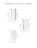 MATERIALS AND METHODS FOR ENHANCED DEGRADATION OF MUTANT PROTEINS ASSOCIATED WITH HUMAN DISEASE diagram and image