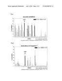 USE OF RPN2 GENE EXPRESSION INHIBITOR diagram and image