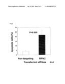 USE OF RPN2 GENE EXPRESSION INHIBITOR diagram and image