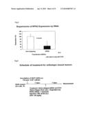 USE OF RPN2 GENE EXPRESSION INHIBITOR diagram and image